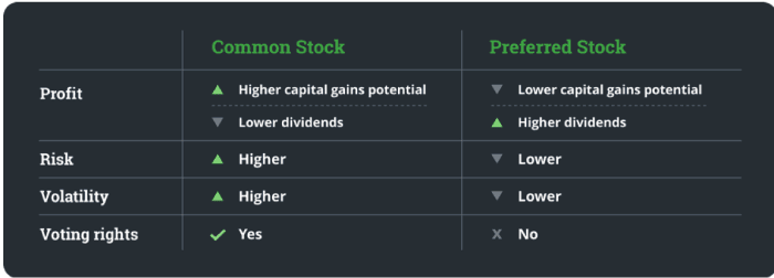 Common vs preferred stocks