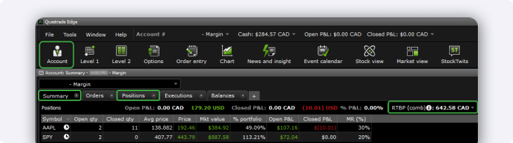 Account summary positions RTBP Edge desktop